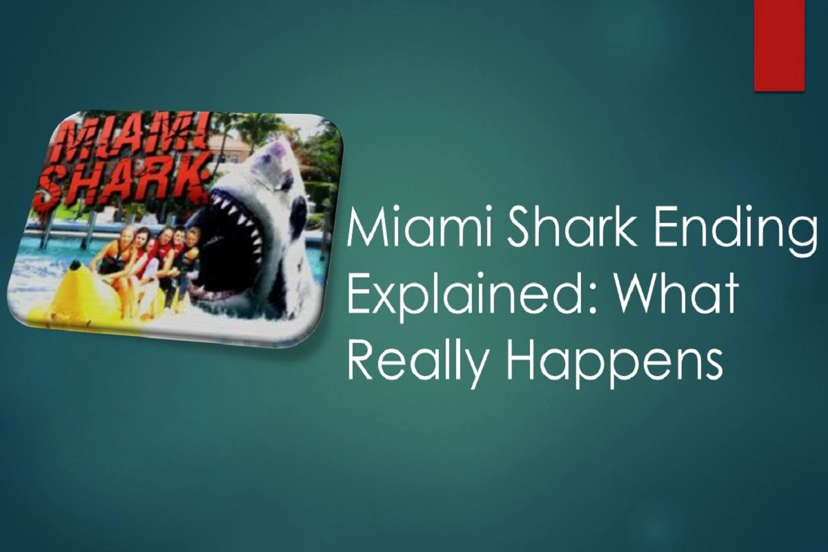Miami Shark Ending Explained