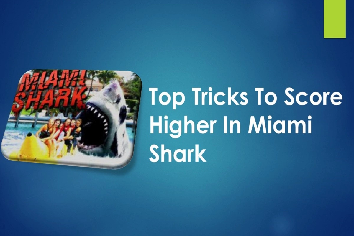 Top Tricks To Score Higher In Miami Shark